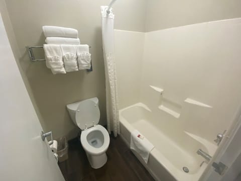 Combined shower/tub, free toiletries, hair dryer, towels