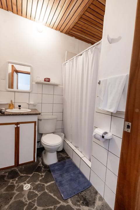 Standard Triple Room, 3 Twin Beds | Bathroom | Shower, free toiletries, hair dryer, towels