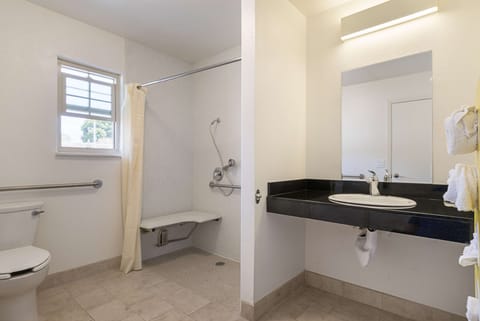 Standard Room, 1 King Bed, Accessible, Non Smoking | Accessible bathroom