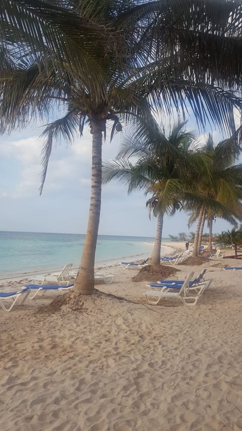 Beach shuttle