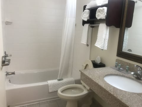 Combined shower/tub, free toiletries, hair dryer, towels