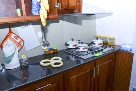 Deluxe Double Room | Shared kitchen | Fridge, microwave, oven, stovetop