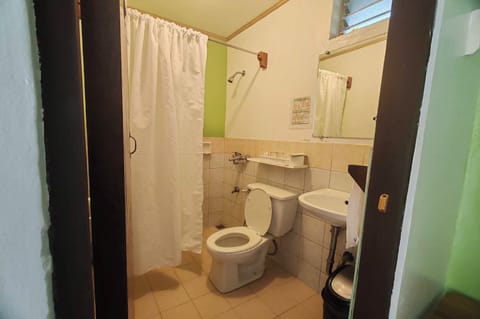 Standard Twin Room | Bathroom | Shower, rainfall showerhead, free toiletries, bidet