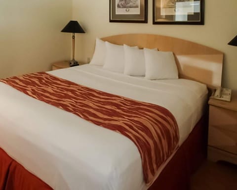 Standard Room, 1 King Bed, Non Smoking | In-room safe, blackout drapes, free WiFi, bed sheets