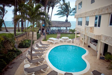 Outdoor pool, sun loungers