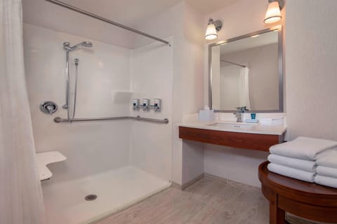 Combined shower/tub, free toiletries, hair dryer, towels