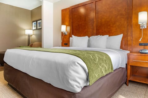 Suite, 1 King Bed with Sofa bed, Accessible, Non Smoking | Premium bedding, down comforters, desk, blackout drapes