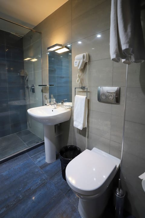 Suite | Bathroom | Shower, free toiletries, hair dryer, slippers