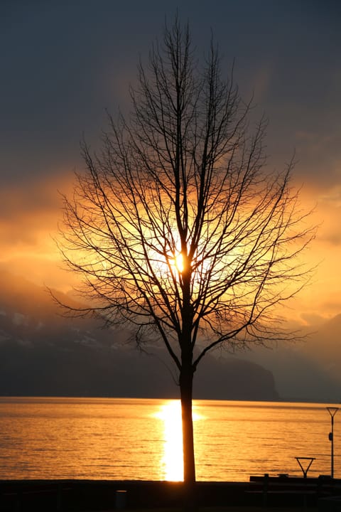 City view from property