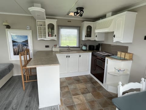 Cabin | Private kitchen | Fridge, microwave, oven, stovetop
