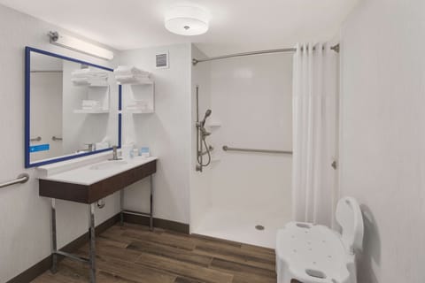 Room, 1 King Bed, Accessible, Non Smoking | Bathroom shower