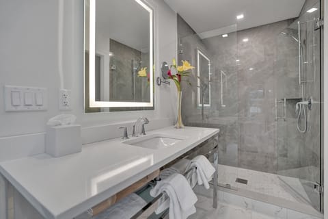 Birch House (Annex) Grand Suite | Bathroom | Shower, designer toiletries, hair dryer, bathrobes