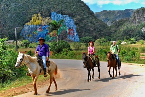 Horseback riding