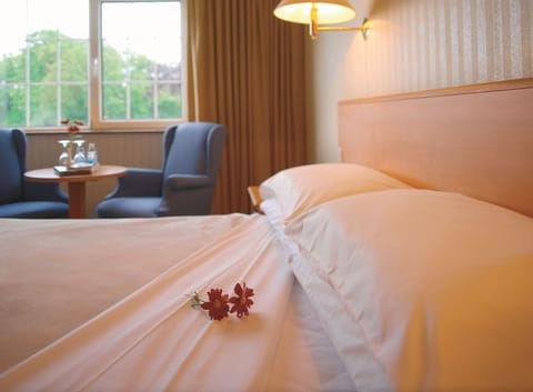 Classic Double Room | In-room safe, desk, iron/ironing board, free WiFi