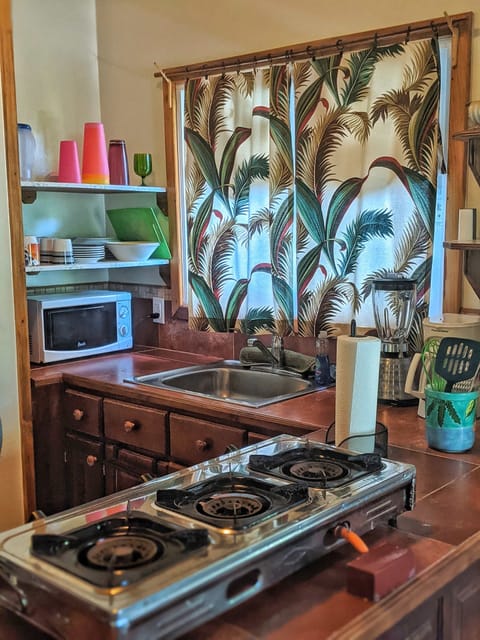 Gecko Bungalow | Private kitchen | Full-size fridge, microwave, oven, dishwasher