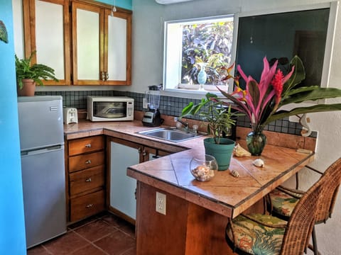 Seahorse Suite | Private kitchen | Full-size fridge, microwave, oven, dishwasher