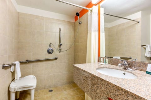 Room, 1 King Bed, Accessible, Non Smoking | Bathroom | Combined shower/tub, free toiletries, hair dryer, towels