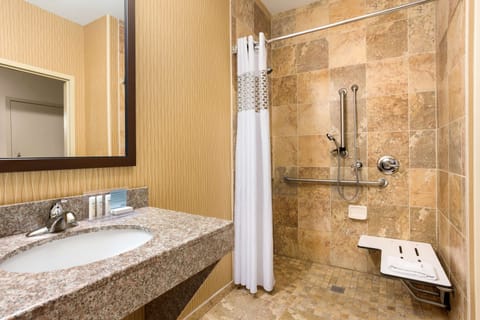 Room, 1 King Bed, Accessible, Non Smoking | Bathroom shower