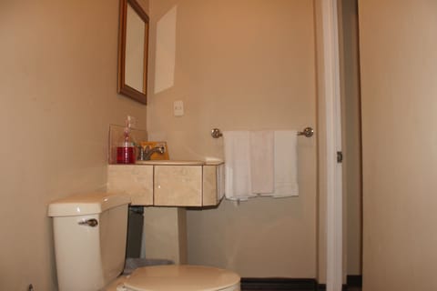 Triple Room | Bathroom | Shower, rainfall showerhead, hair dryer, towels