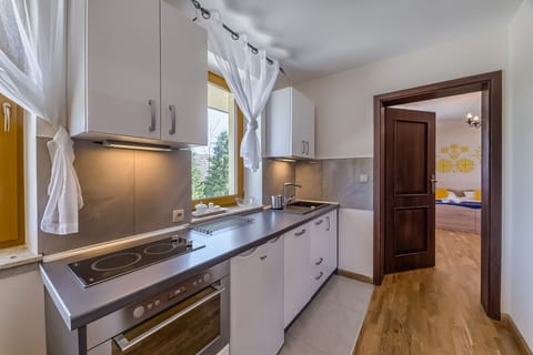 Classic Apartment | Private kitchen | Microwave, oven, stovetop, electric kettle