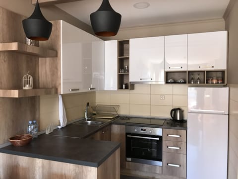 Luxury Apartment, Lake View | Private kitchen | Fridge, oven, stovetop, electric kettle