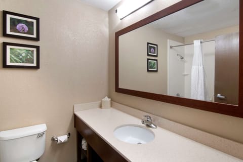 Standard Room, 1 King Bed, Non Smoking | Bathroom | Hair dryer, towels