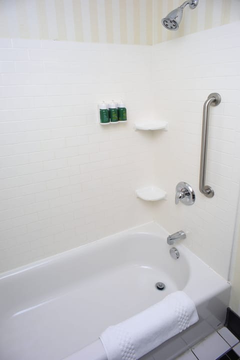 Combined shower/tub, free toiletries, hair dryer, towels