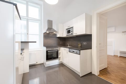 Apartment, 1 Bedroom (No. 16, incl.cleaning fee 45 EUR) | Private kitchen | Full-size fridge, stovetop, coffee/tea maker, electric kettle