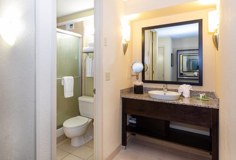 Premium Room, 1 King Bed | Bathroom | Free toiletries, hair dryer, towels, soap