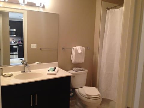 Combined shower/tub, hair dryer, towels