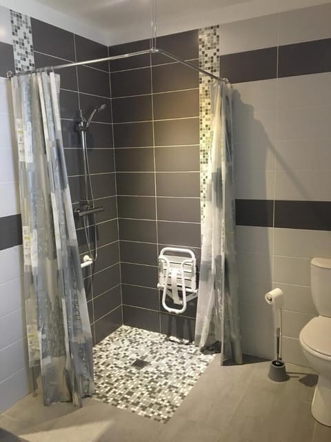 Double Room, Accessible | Bathroom shower