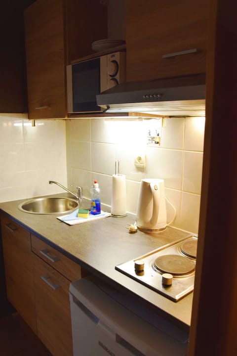 Large Studio Triple | Private kitchenette | Fridge, microwave, coffee/tea maker, electric kettle