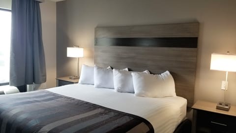 Suite, 1 King Bed | Hypo-allergenic bedding, in-room safe, desk, laptop workspace