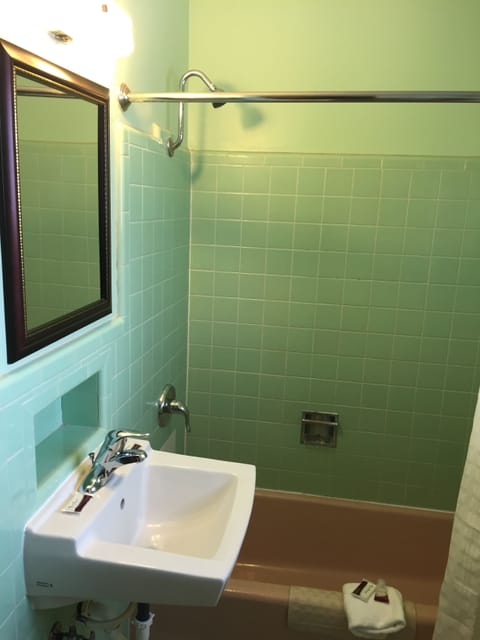 Room, 1 King Bed, Smoking | Bathroom | Combined shower/tub, free toiletries, hair dryer, towels