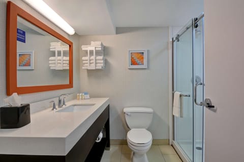 Suite, 1 King Bed, Non Smoking | Bathroom | Free toiletries, hair dryer, towels, soap