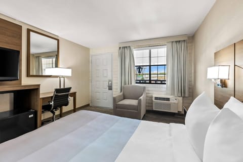 Standard Room, 1 Queen Bed, Non Smoking | Premium bedding, desk, laptop workspace, blackout drapes