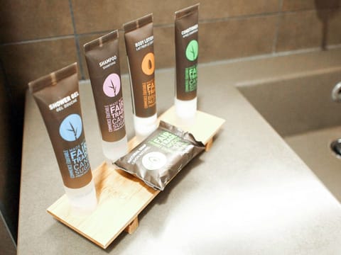 Eco-friendly toiletries, hair dryer, towels