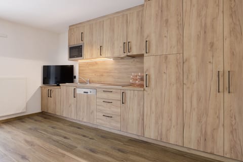 Premium Apartment | Private kitchen | Fridge, microwave, stovetop, espresso maker