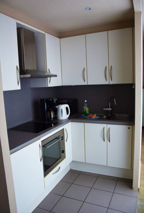 Penthouse Apartment  | Private kitchenette | Fridge, microwave, coffee/tea maker, electric kettle