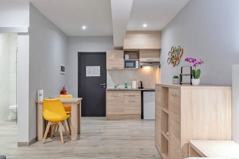 Executive Studio Double with daily cleaning | Private kitchen | Fridge, microwave, stovetop, coffee/tea maker