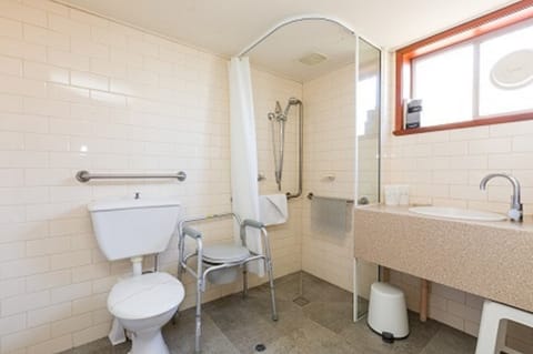 Executive Double or Twin Room | Bathroom | Shower, free toiletries, hair dryer, towels