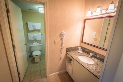 Combined shower/tub, free toiletries, hair dryer, towels