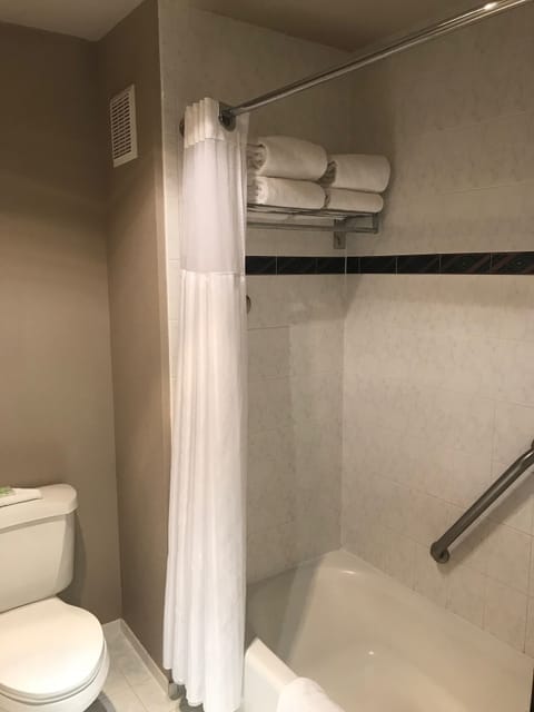 Combined shower/tub, eco-friendly toiletries, hair dryer, towels