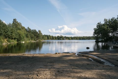 Lake