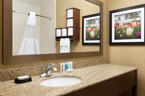 Combined shower/tub, hair dryer, towels