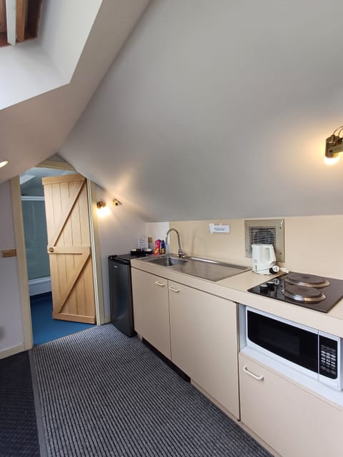 Deluxe Loft, 1 King Bed | Private kitchen | Fridge, electric kettle