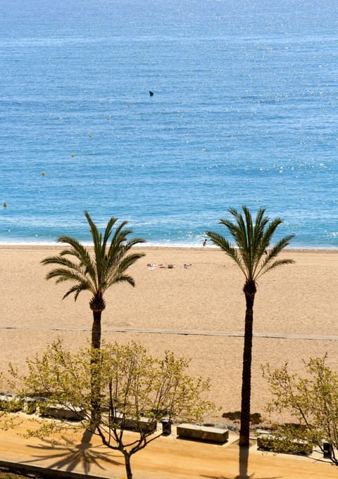 Beach/ocean view