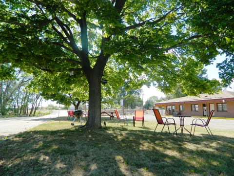 BBQ/picnic area