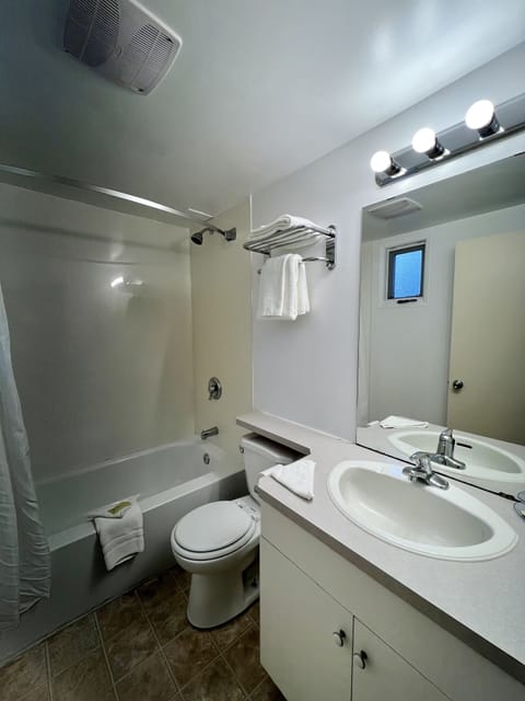 Premium Room, 1 Queen Bed | Bathroom | Combined shower/tub, free toiletries, hair dryer, towels