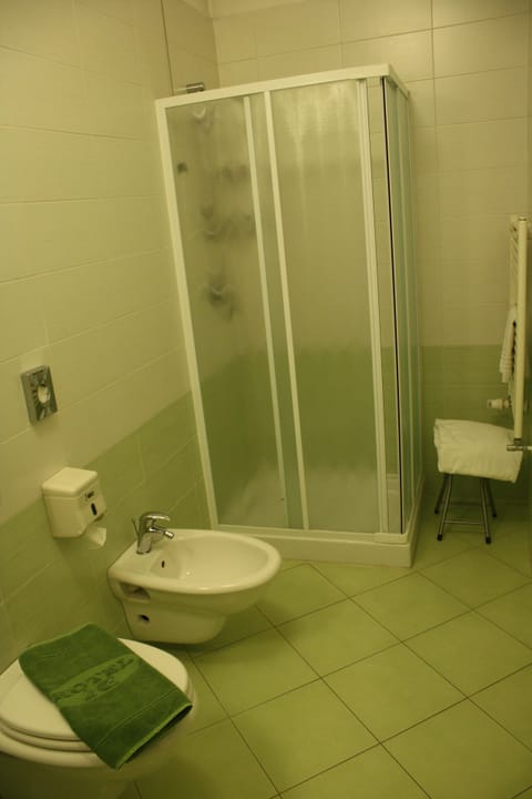 Shower, free toiletries, hair dryer, bidet